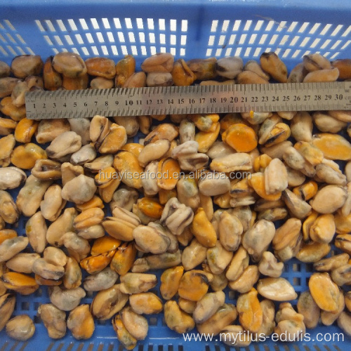 small, medium, large mussel meat for hot sale